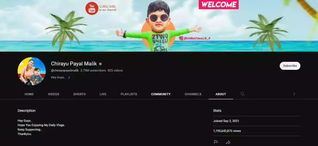 Bigg Boss 17 YouTuber Payal Malik YouTube Channel
